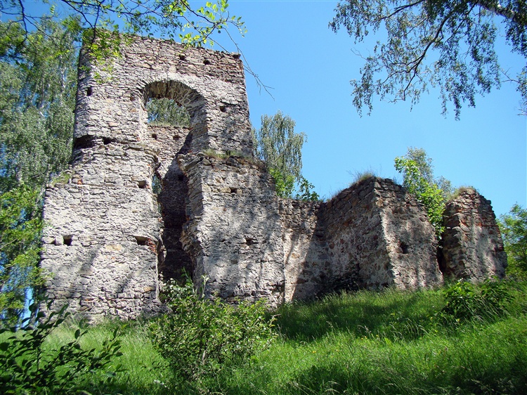 Ruiny zamku ariańskiego Łapczyna Wola